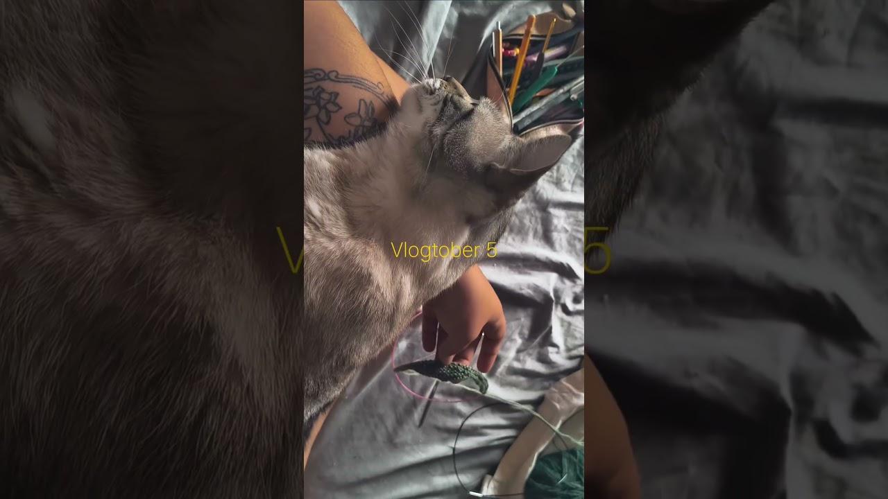 vlogtober 5